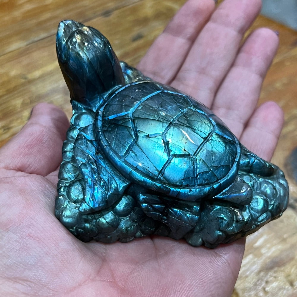 Labradorite Sea Turtle