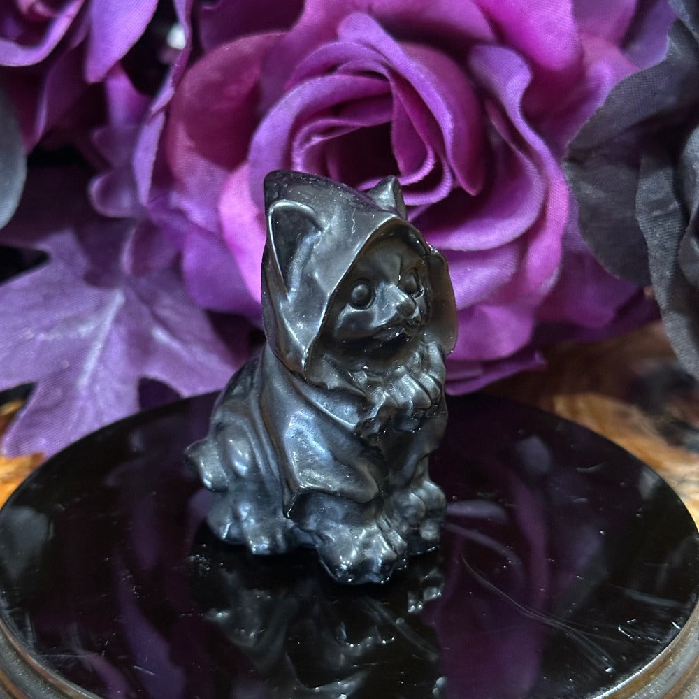 Obsidian Cat with Cape
