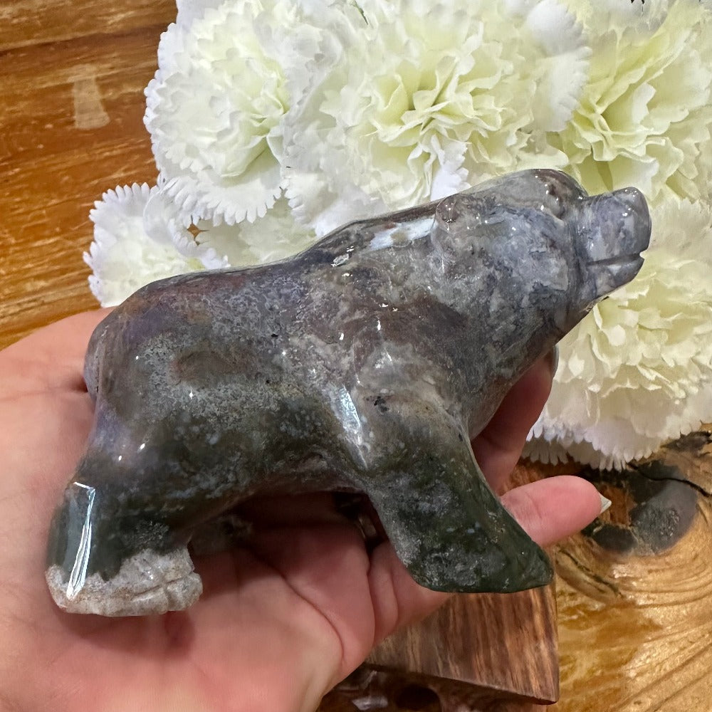 Ocean Jasper Bear
