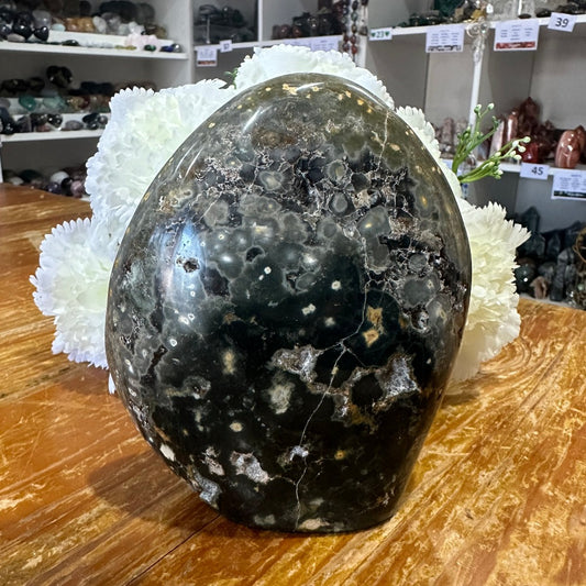Eighth Vein Ocean Jasper Freeform