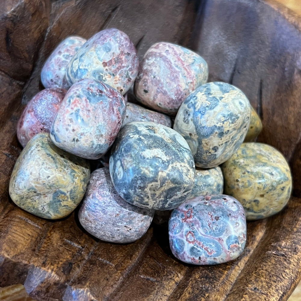 Tumbles | Leopardskin Jasper