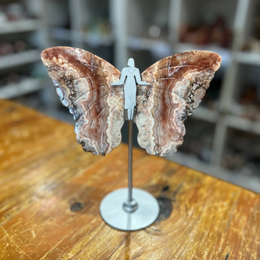 Pink Crazy Lace Agate Butterfly Wings on Stand