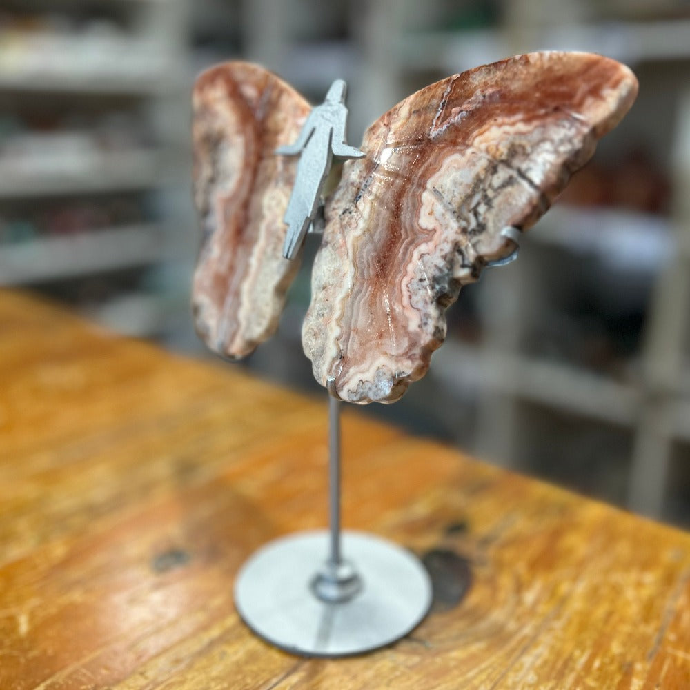 Pink Crazy Lace Agate Butterfly Wings on Stand