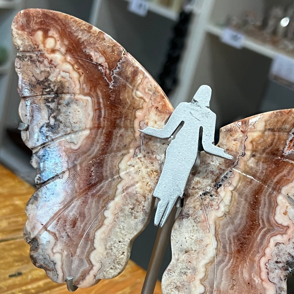 Pink Crazy Lace Agate Butterfly Wings on Stand