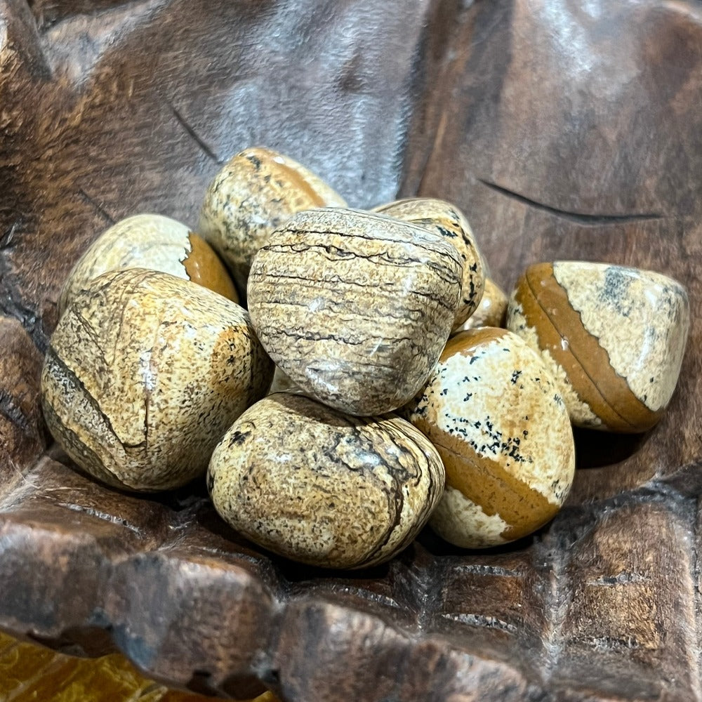 Tumbles | Picture Jasper