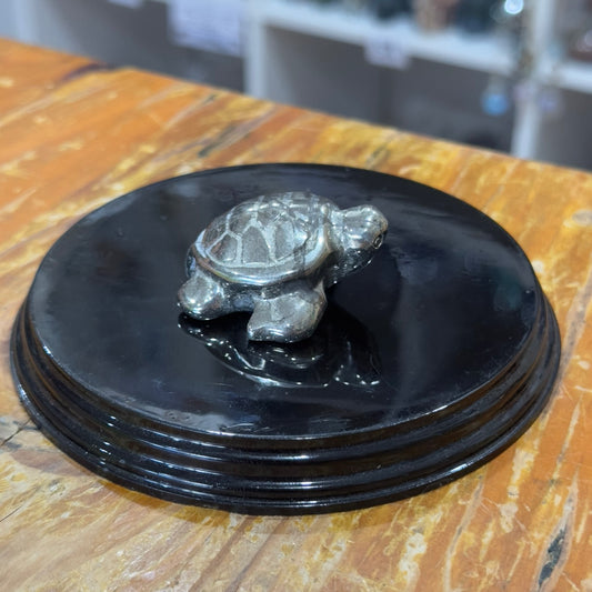 Pyrite Turtle