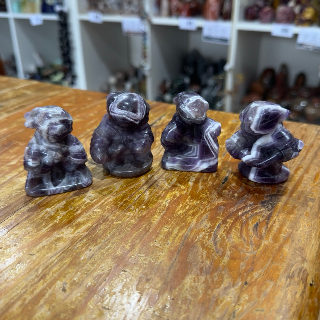 Dream Amethyst Teenage Mutant Ninja Turtles Set