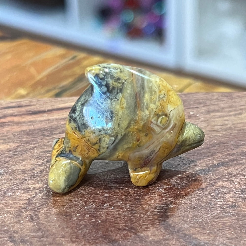 Crazy Lace Agate Dolphin - Small