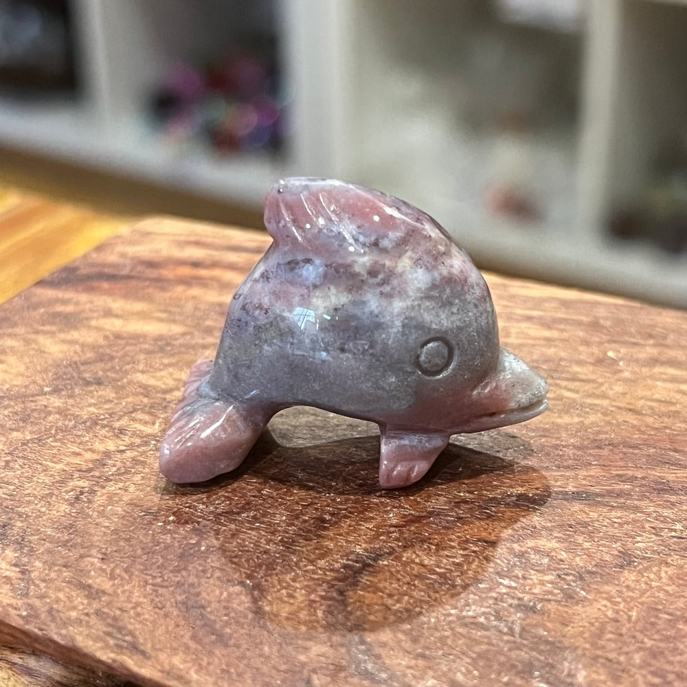 Ocean Jasper Dolphin - Small