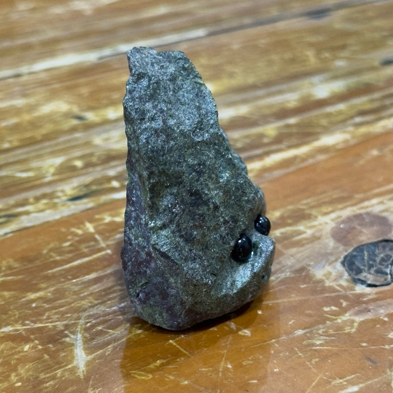 Dragon Blood Stone Groot