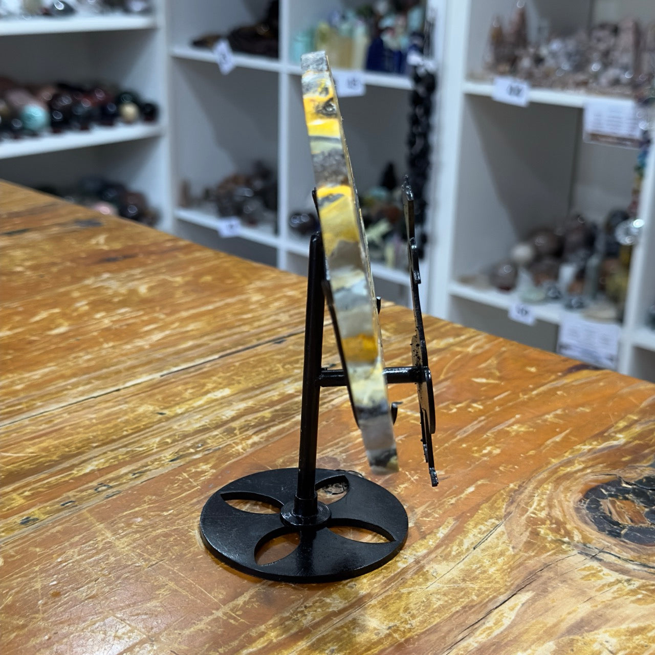 Bumblebee Jasper Peacock