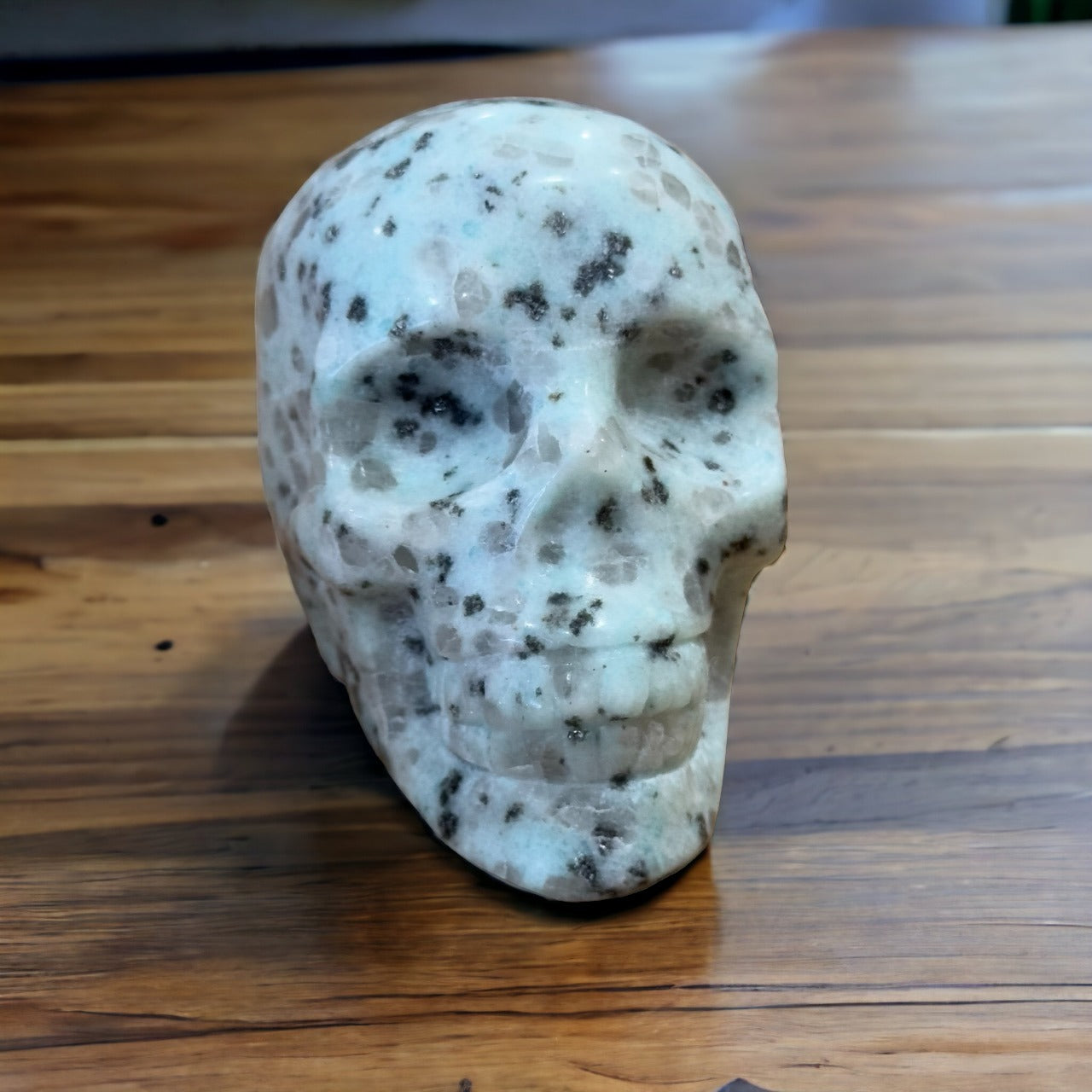 Kiwi Jasper Skull | 317g