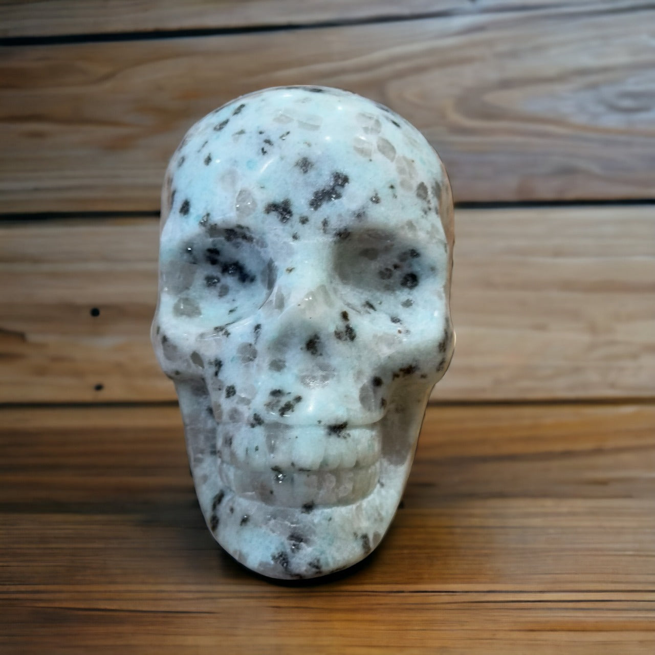 Kiwi Jasper Skull | 317g