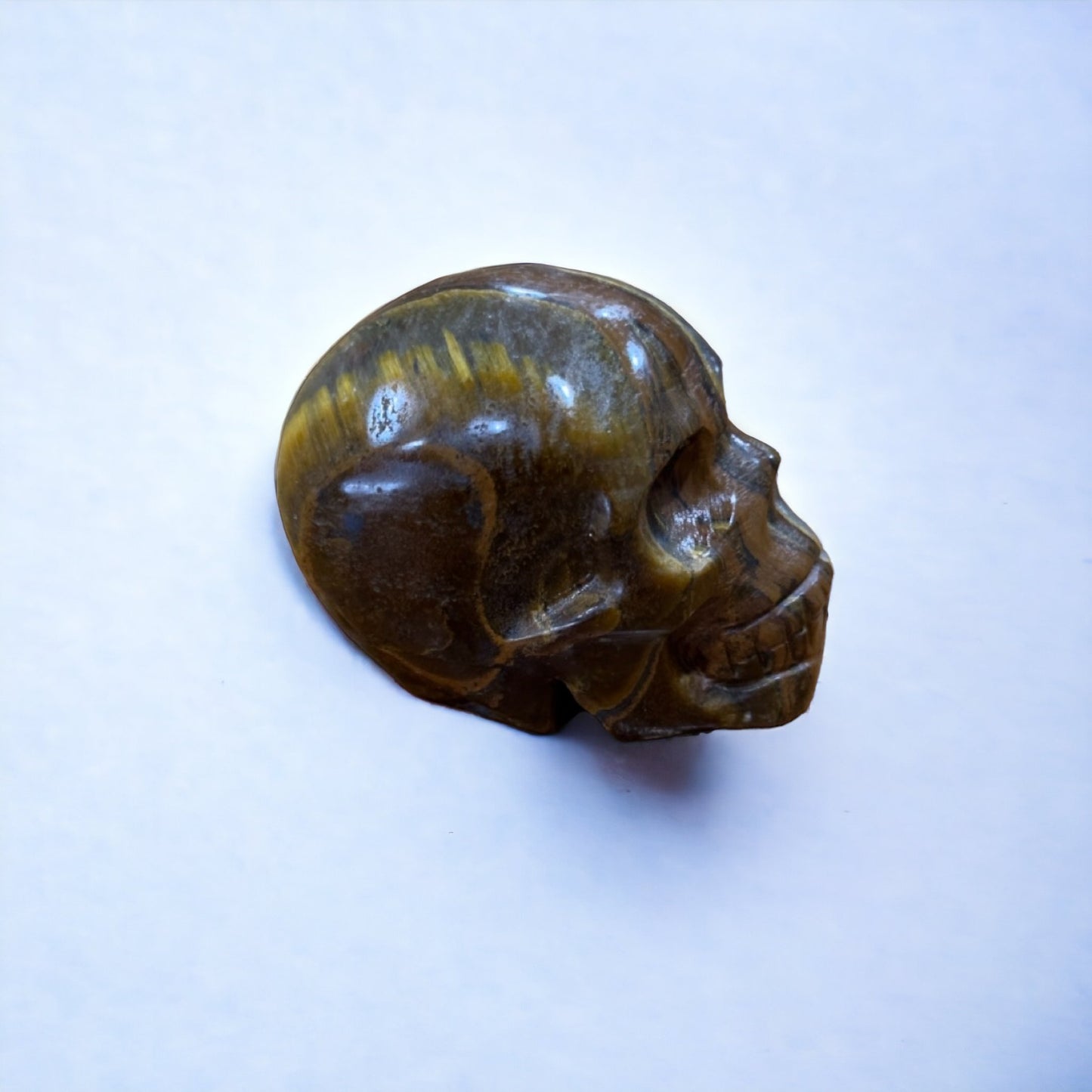 Tiger's Eye Skull | 172g