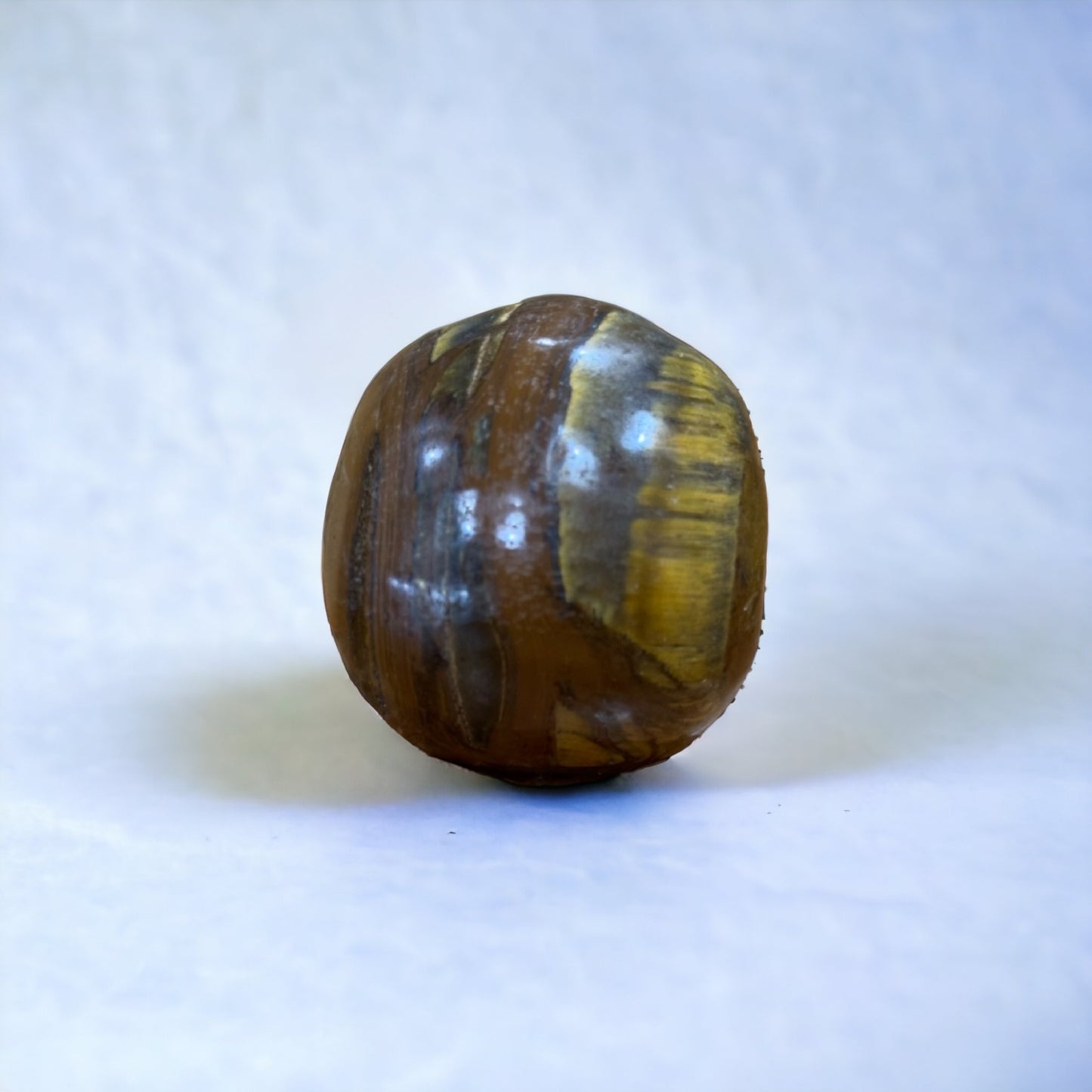 Tiger's Eye Skull | 172g