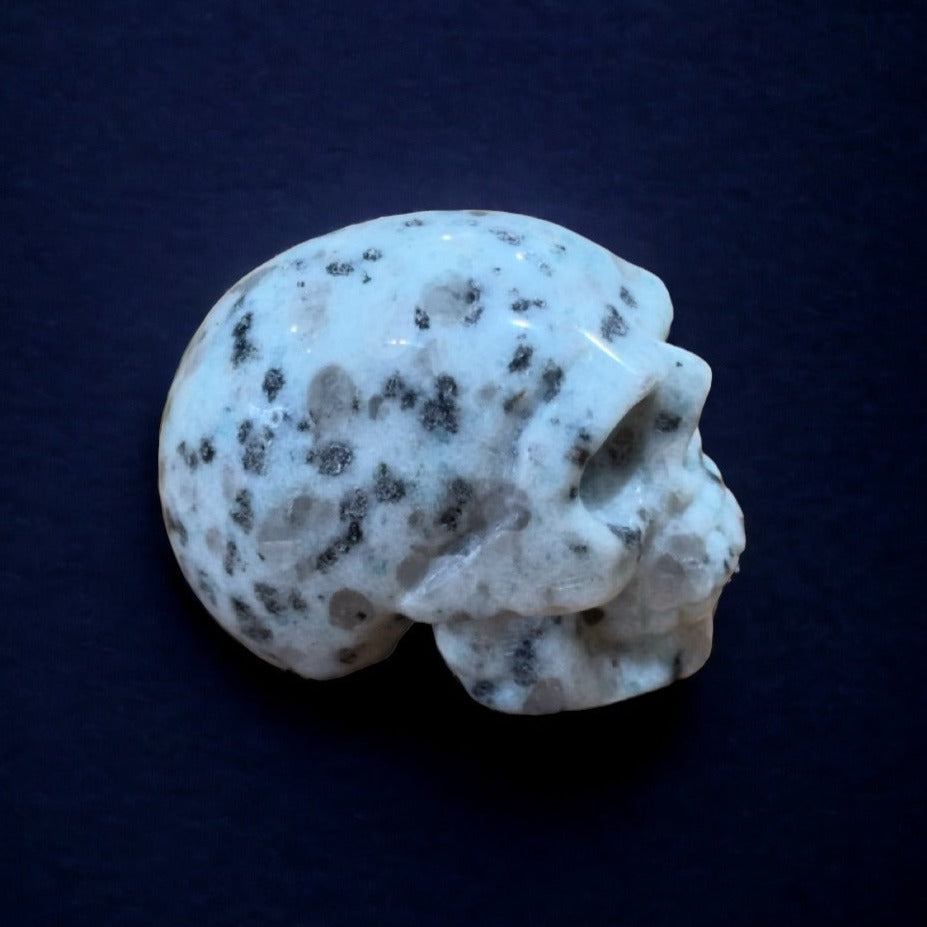 Kiwi Jasper Skull | 80g