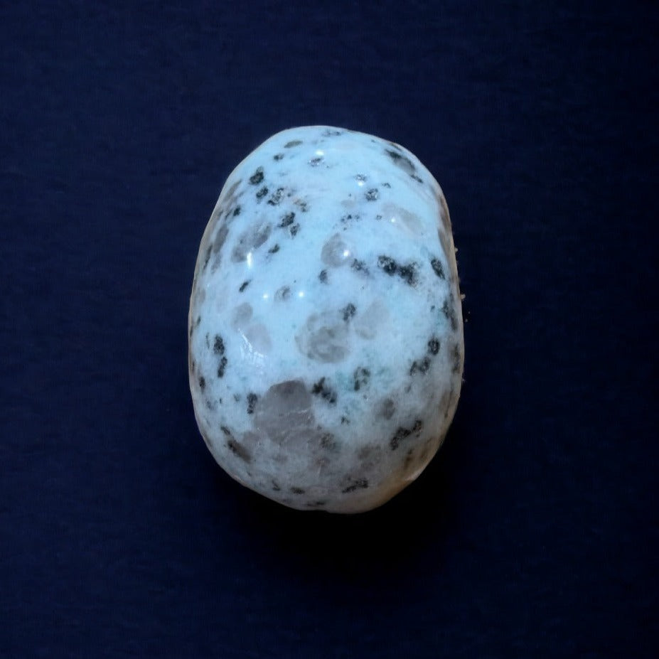 Kiwi Jasper Skull | 80g