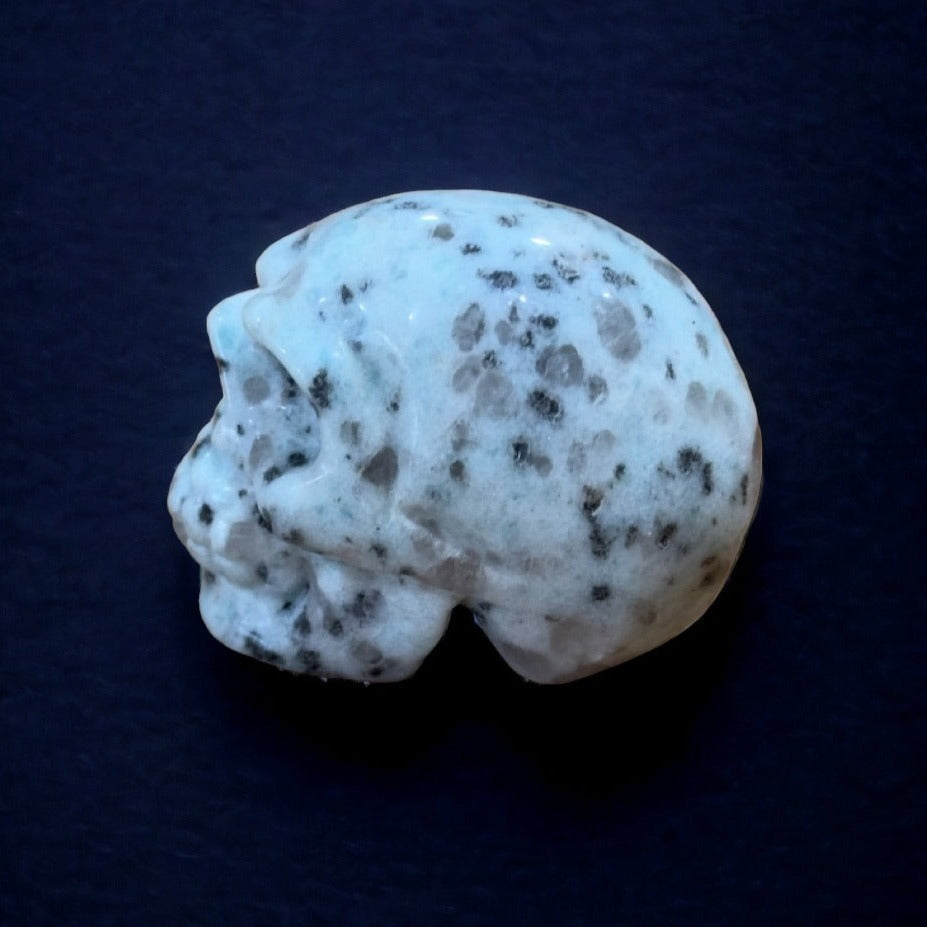 Kiwi Jasper Skull | 80g