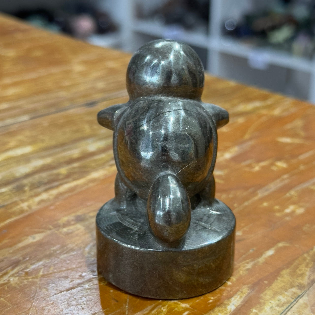 Pyrite Squirtle | Pokemon