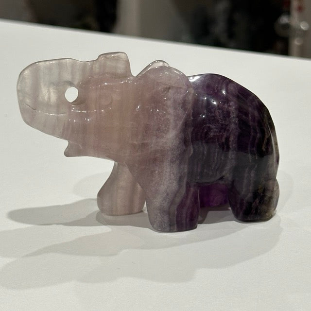 Fluorite Elephant | 274g