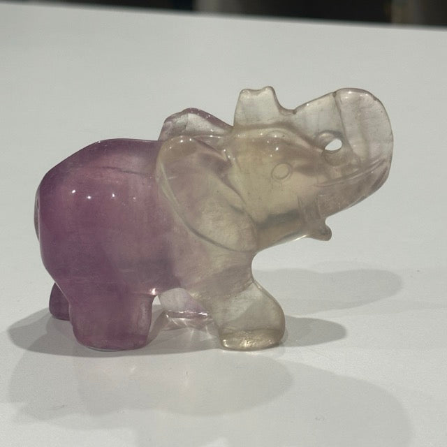 Fluorite Elephant | 282g