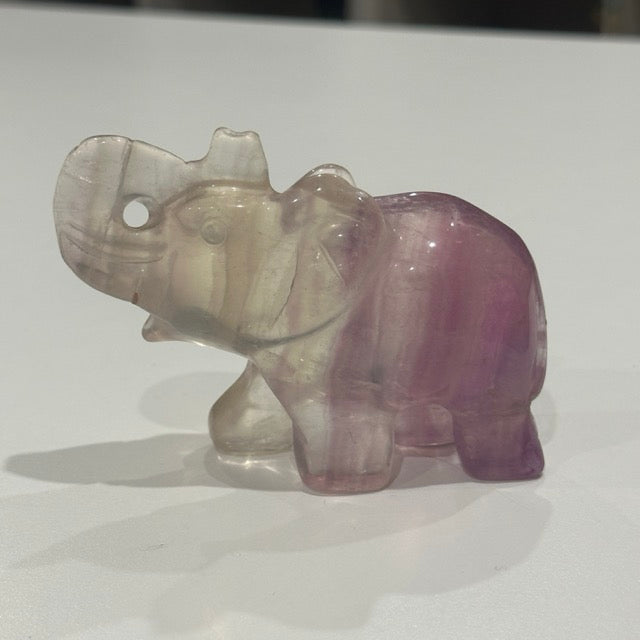 Fluorite Elephant | 282g