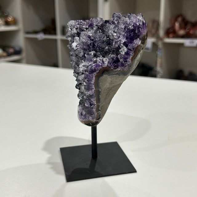 Amethyst Cluster on Stand | 905g
