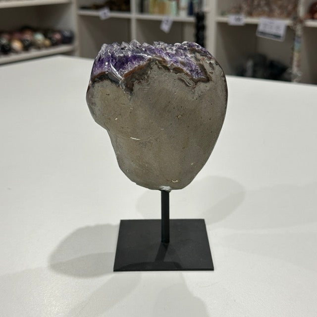 Amethyst Cluster on Stand | 905g