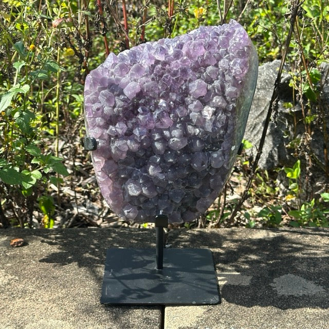 Amethyst Cluster on stand  | 5.3kg