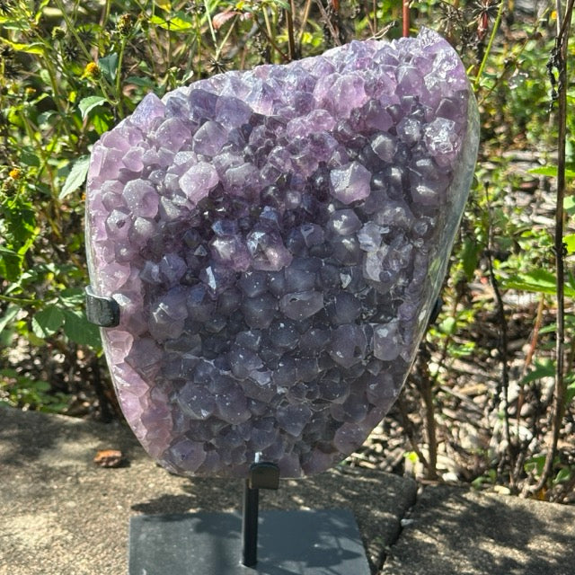 Amethyst Cluster on stand  | 5.3kg