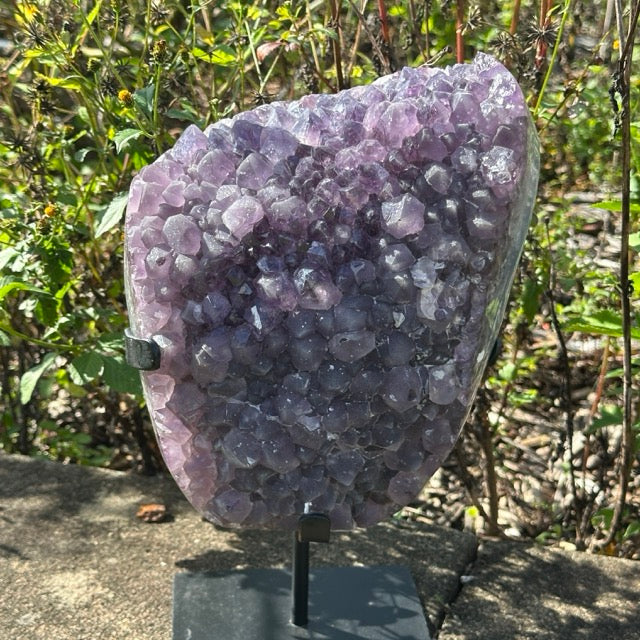 Amethyst Cluster on stand  | 5.3kg
