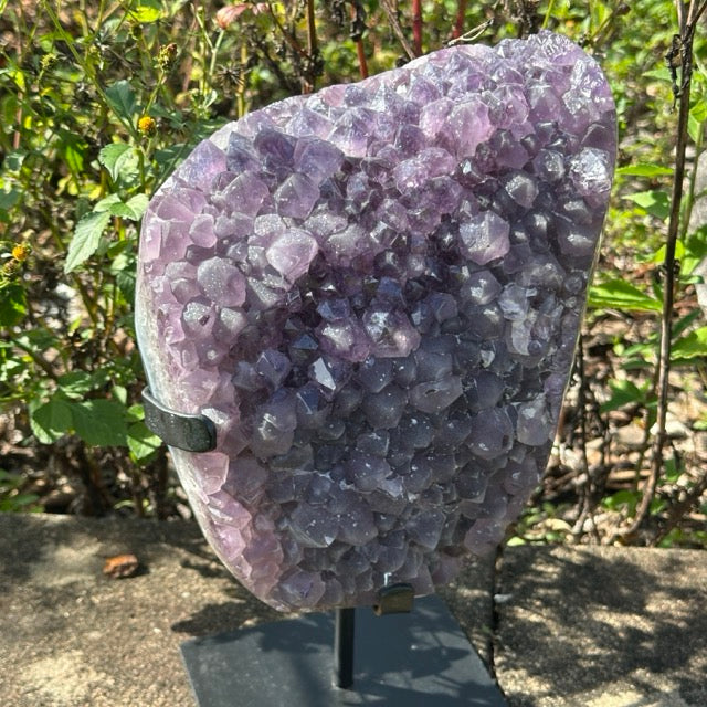Amethyst Cluster on stand  | 5.3kg
