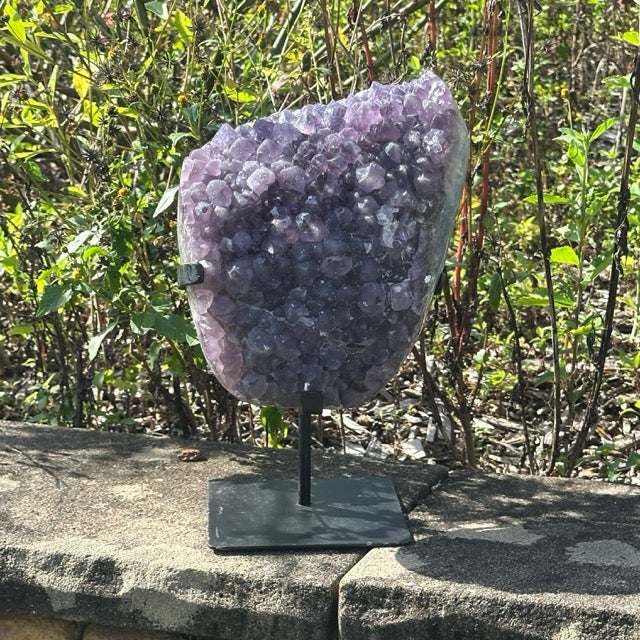 Amethyst Cluster on stand  | 5.3kg