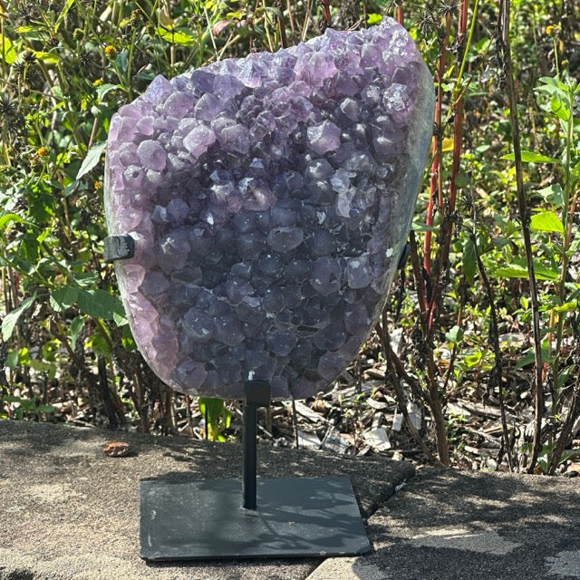 Amethyst Cluster on stand  | 5.3kg