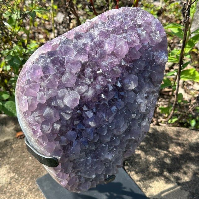 Amethyst Cluster on stand  | 5.3kg