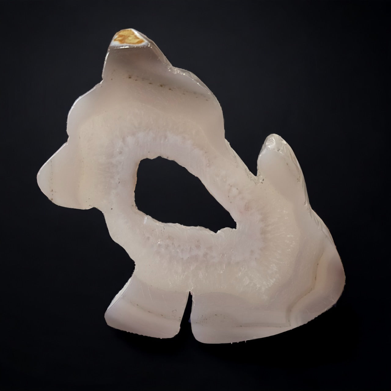 Druzy Agate Dog | 273g