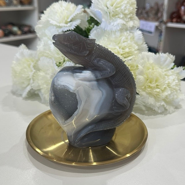 Druzy Agate Lizard | 807g