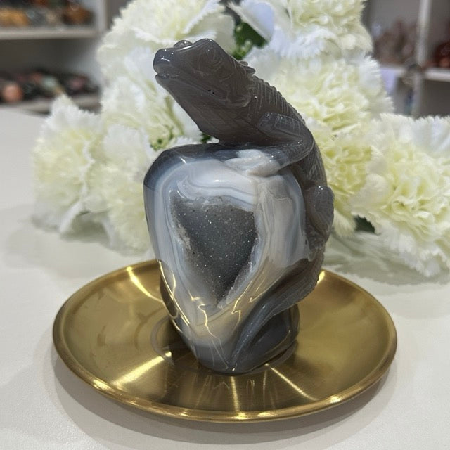 Druzy Agate Lizard | 807g