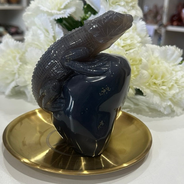 Druzy Agate Lizard | 807g