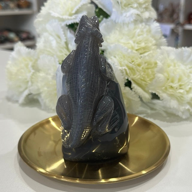 Druzy Agate Lizard | 807g