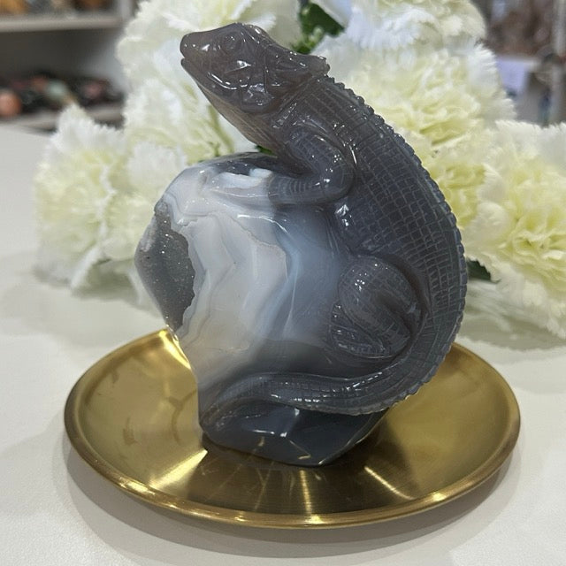 Druzy Agate Lizard | 807g