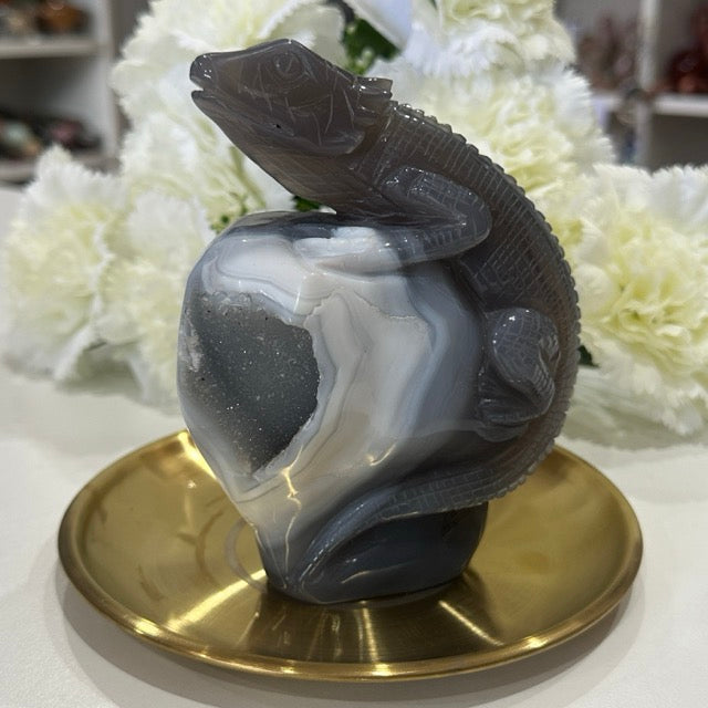 Druzy Agate Lizard | 807g