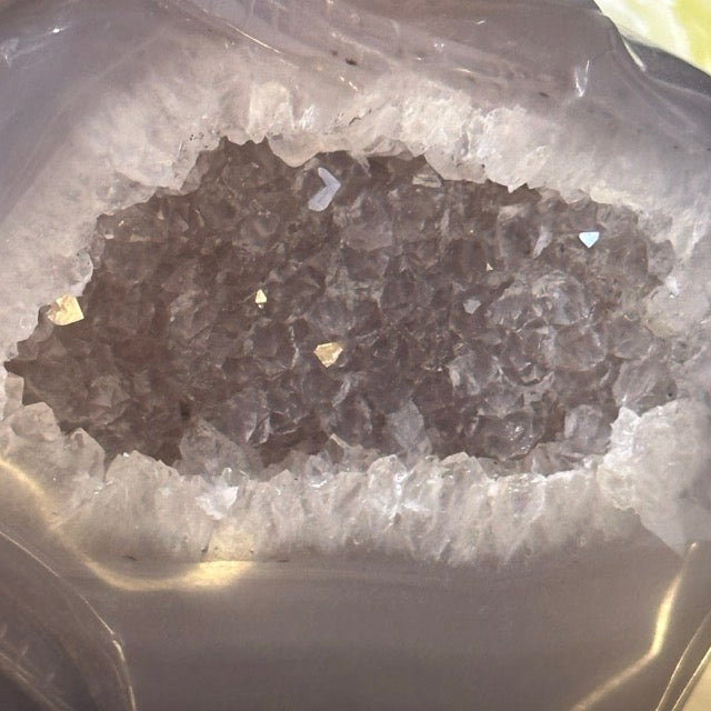 Druzy Agate Lizard | 506g