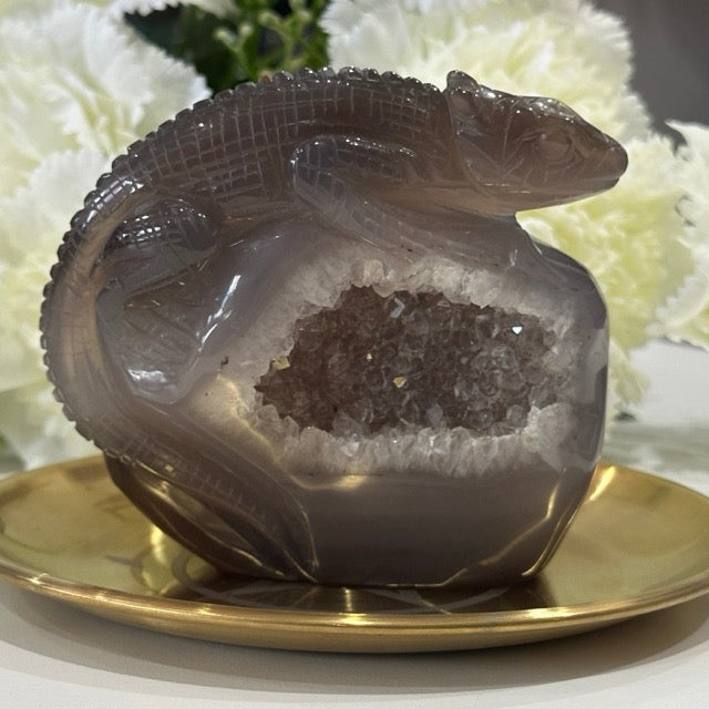 Druzy Agate Lizard | 506g