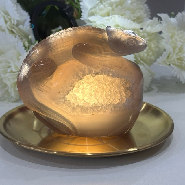 Druzy Agate Lizard | 506g