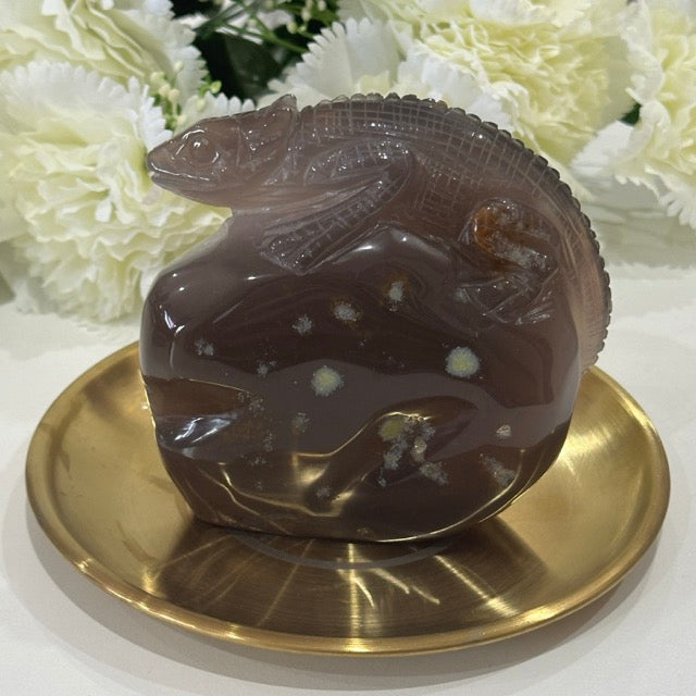 Druzy Agate Lizard | 506g