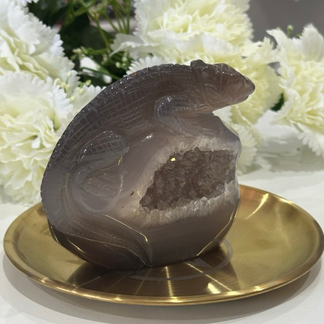 Druzy Agate Lizard | 506g