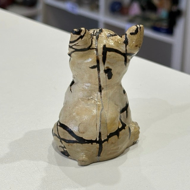 Picture Jasper French Bulldog