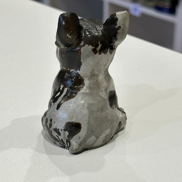 Picture Jasper French Bulldog