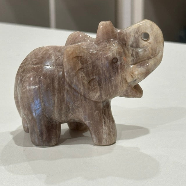 Moonstone Elephant | 358g Blue Flash
